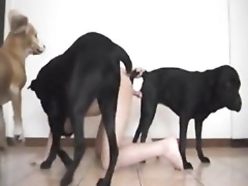Reverse gangbang