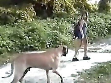 Dog Porn Videos