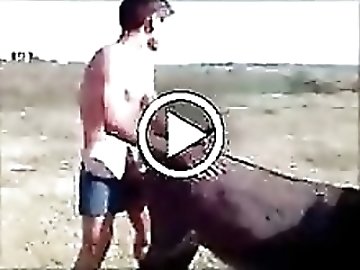 Pussypump zoo
