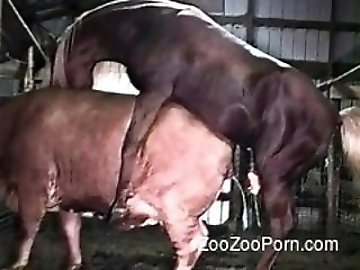 Tan lines zoo