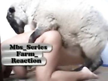 Pregnant teen zoo