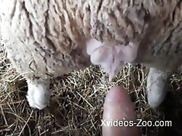 Pegging zoo