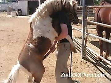 Queen zoo